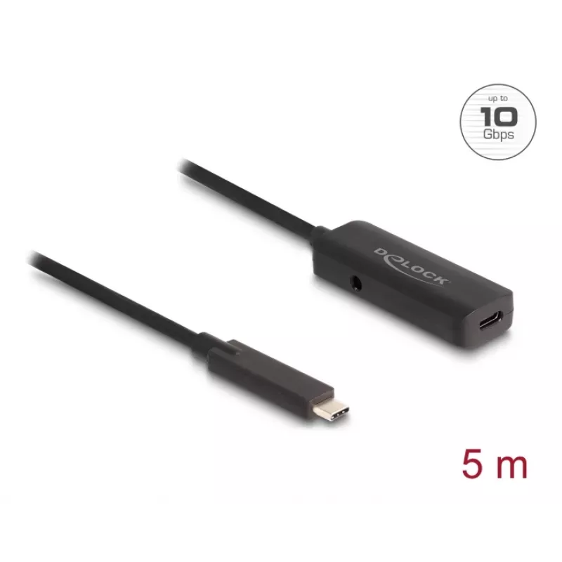 USB-Kabel DeLOCK 80028 5 m USB-C Schwarz