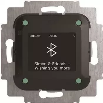 Busch-Jaeger Busch-Radio BTconnect DAB+ mit Bluetooth-Schnittstelle 8217 U-101 (2CKA008200A0278)