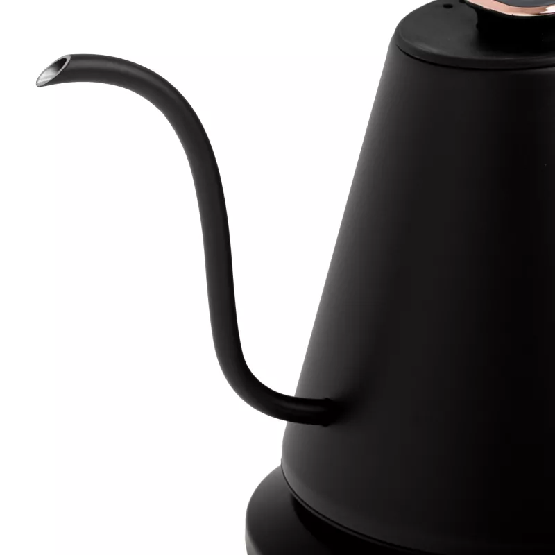 Adler AD 1349 Wasserkocher mit langem Ausgießer 1,0 L Schwarz