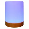 Ambient light RealPower 200 RGB mit Fernbedienung