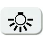 BJ - Reflex SI - Tastersymbol Licht *alpinweiss* (2525LI-214)