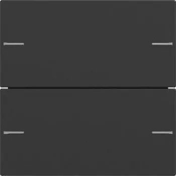 GIRA 5752005 Wippensatz 2-fach Tastsensor 4 Sys (5752005)