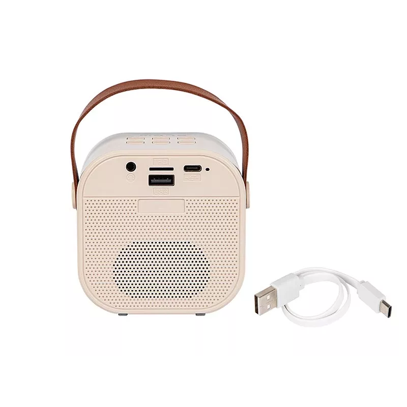 Karaoke-Lautsprecher, KARAOKE RGB Bluetooth-Lautsprecher, 30W
