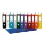 Ringbuch Esselte 811380 A4 Grau