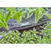 Sprühdüse Gardena 13321-20 für Tropfbewässerungssystem