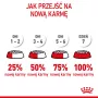 Trockenfutter für Hunde Royal Canin Starter Mutter & Babydog 1 kg — Huhn, 30% Protein, 22% Fett