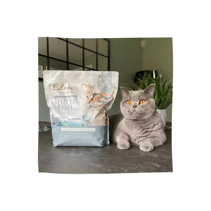 EDEN Weißer Fisch mit Heringskaviar - Trockenfutter für Katzen - 1,5 kg