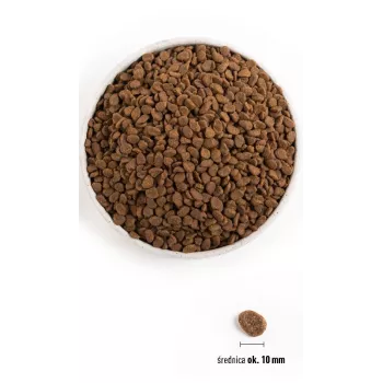 ORIJEN Six Fish Cat - Trockenfutter für Katzen - 5,4kg