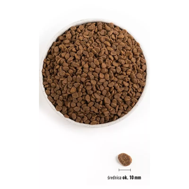 ORIJEN Six Fish Cat - Trockenfutter für Katzen - 5,4kg