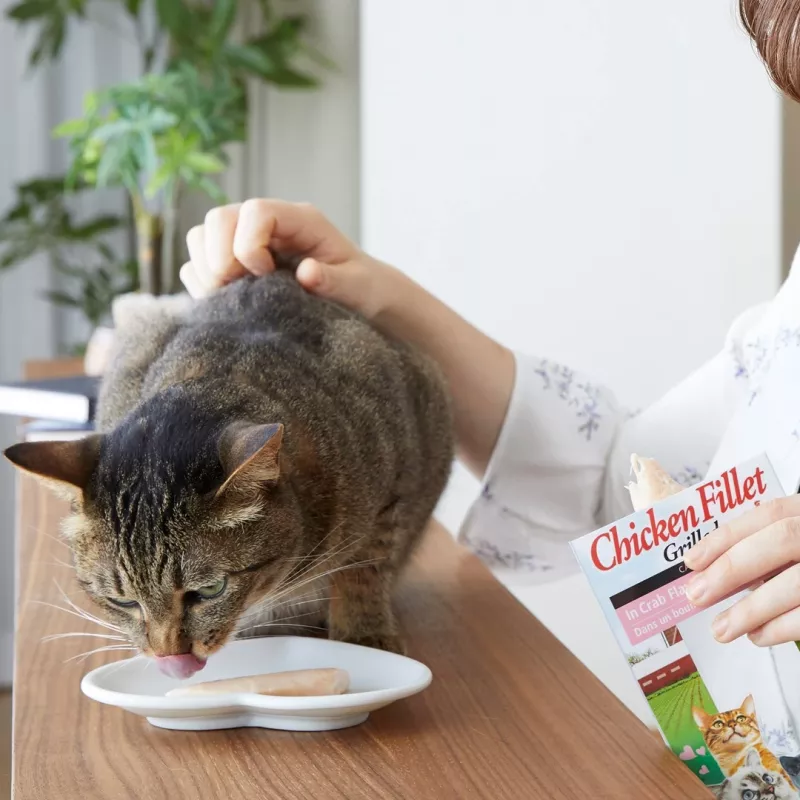 INABA Ciao Gegrilltes Hähnchenfilet in Brühe mit Hühnergeschmack - Katzensnacks - 25g