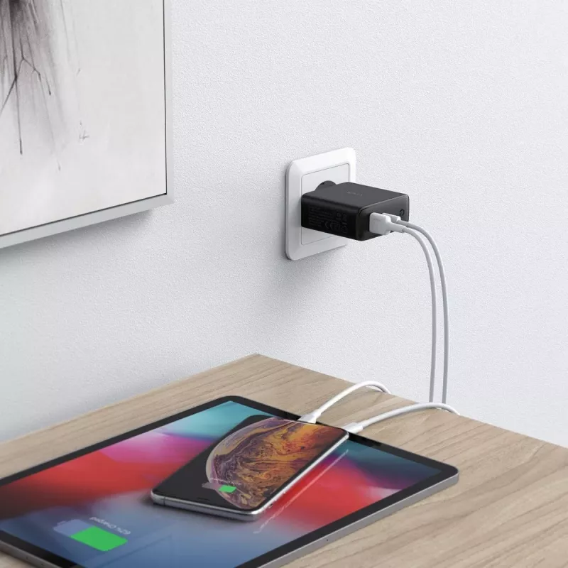 PA-D3 Wandladegerät 2xUSB Power Delivery (1xUSB+1xUSB C) 5,4A 60W Dynamic Detect