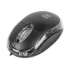 Maus NATEC Vireo 2 USB Typ-A Optisch