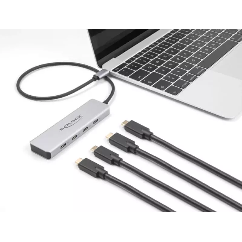 DeLOCK USB Type-C Hub 10 Gbps 4 Ports Aluminium Grau