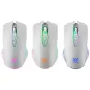 Kabellose Gaming-Maus DEFENDER Pandora White – beidhändig, 3200 DPI, 6 Tasten, programmierbar, optisch, USB