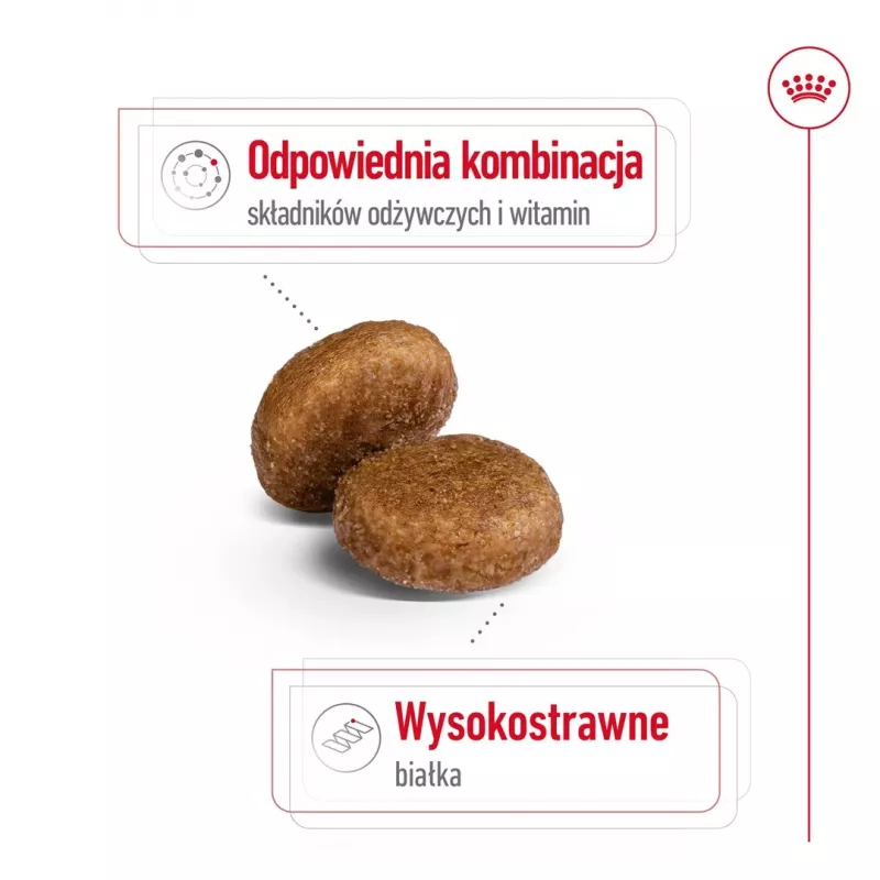 Trockenfutter für Hunde Royal Canin Maxi Adult 5+ 15 kg — Huhn, Protein 26 %, Fett 17 %