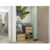 Geschlossener Schuhschrank Top E-Shop MODO ANT/ART — Anthrazit und Eiche, Spanplatte