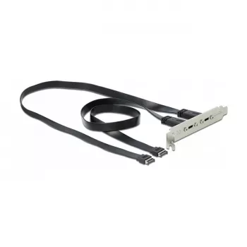 Slotblech DeLOCK 89935 mit 2 x USB-Typ-C-Anschlüssen