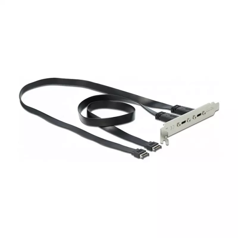 Slotblech DeLOCK 89935 mit 2 x USB-Typ-C-Anschlüssen