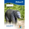 Kunstpapierblock Pelikan 224840