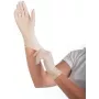 Handschuhe Latex puderfrei L (2671)