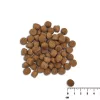 Trockenfutter für Hunde VETEXPERT Raw Paleo Healthy Grain Puppy Lachs und Gerste 10 kg, Protein 29 % Fett 17 % Feuchtigkeit 9 %