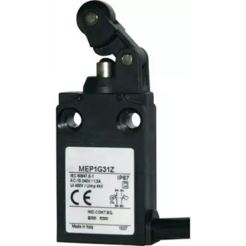 Panasonic Endschalter 24 V 5 A Rollenhebel MEP1G31Z IP67 1 St. (MEP1G31Z)