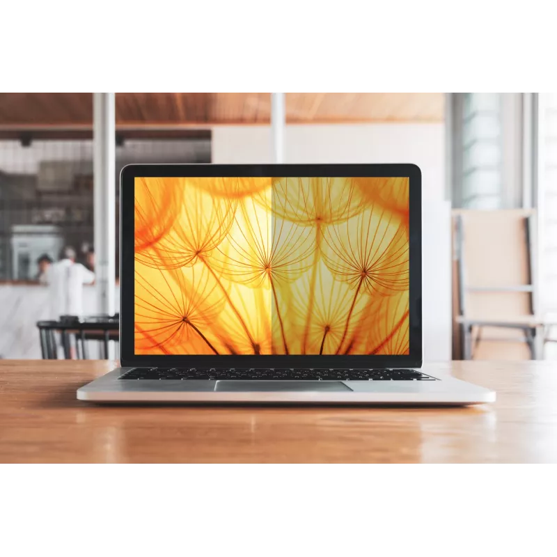 3M BPNMS003 Display-Datenschutzfilter 36,6 cm (14,4 inch) Laptop Rahmenloser Display-Datenschutzfilter
