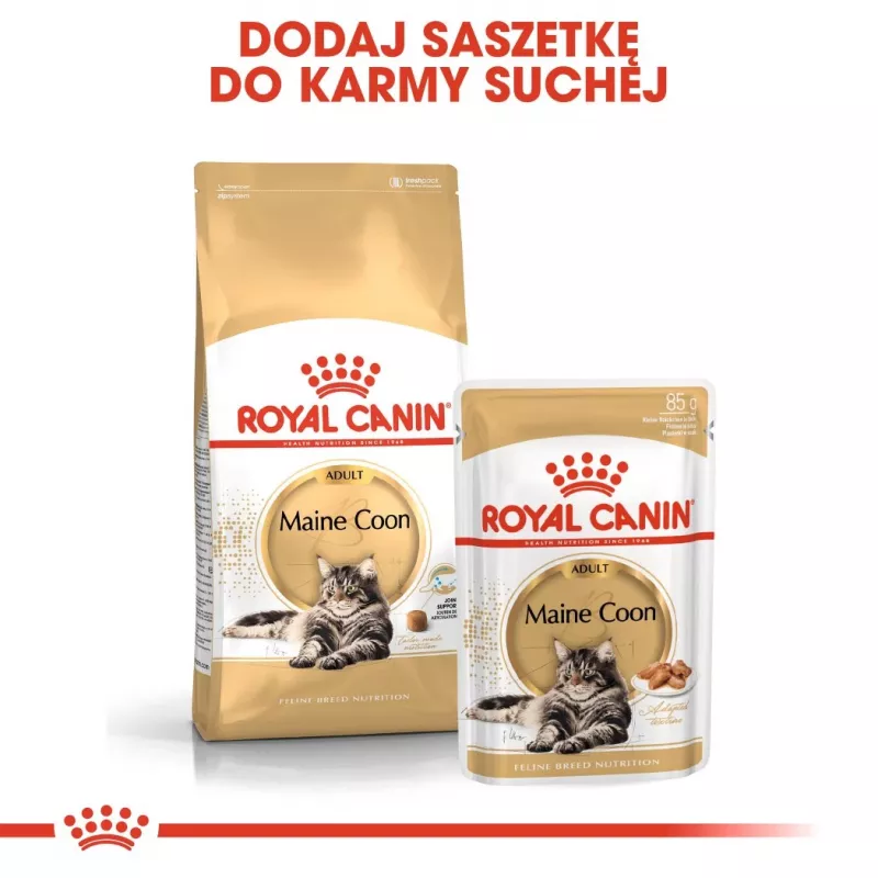 Trockenfutter für Katzen Royal Canin Maine Coon Adult 10 kg — Geflügel (Huhn), 31 % Protein, 20 % Fett