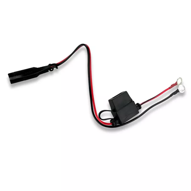 Autobatterie-Ladegerät everActive CBC1 6V/12V