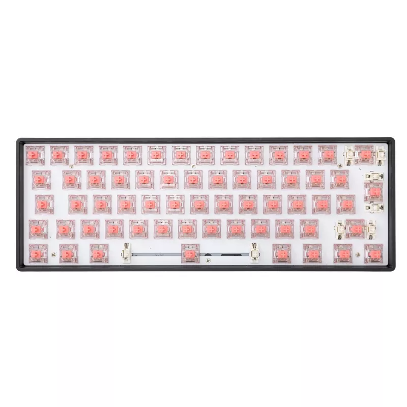 White Shark Venom Rose mechanische Tastaturschalter, 65 Stück