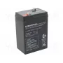 Blei-Säure-Akku europower EP4.5-6 6V 4,5Ah
