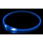 LED-Halsband KABB Blau für Hunde und Katzen – wiederaufladbar, verstellbares Sicherheitshalsband mit Beleuchtung