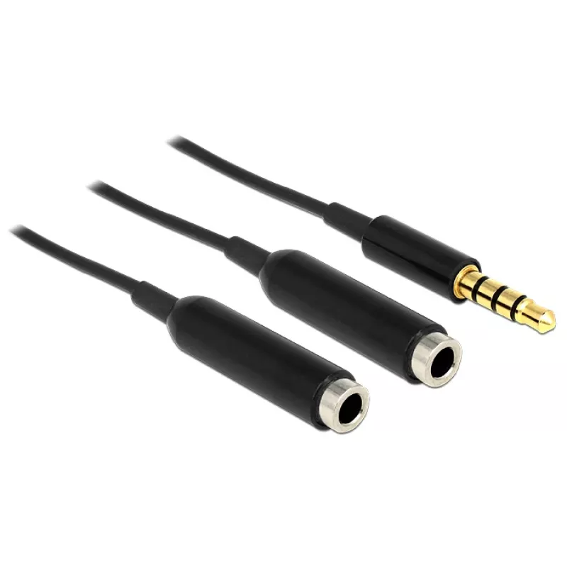 Audiokabel DeLOCK 65575 0,25 m 3,5 mm 2 x 3,5 mm Schwarz