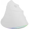 NATEC Crake 2 Pro Maus Universal Rechtshänder USB Typ-A Optisch 12800 DPI