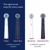 Beurer TB Clean Eco Green Planet Bürstenköpfe, dunkelblau, 4er-Pack