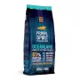 PRIMAL SPIRIT Oceanland Ryba – halbfeuchtes Hundefutter für allergische Hunde – 12 kg