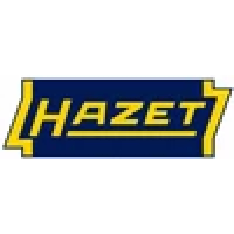 Hazet Werkzeug Module 163-257/4 (163-257/4)