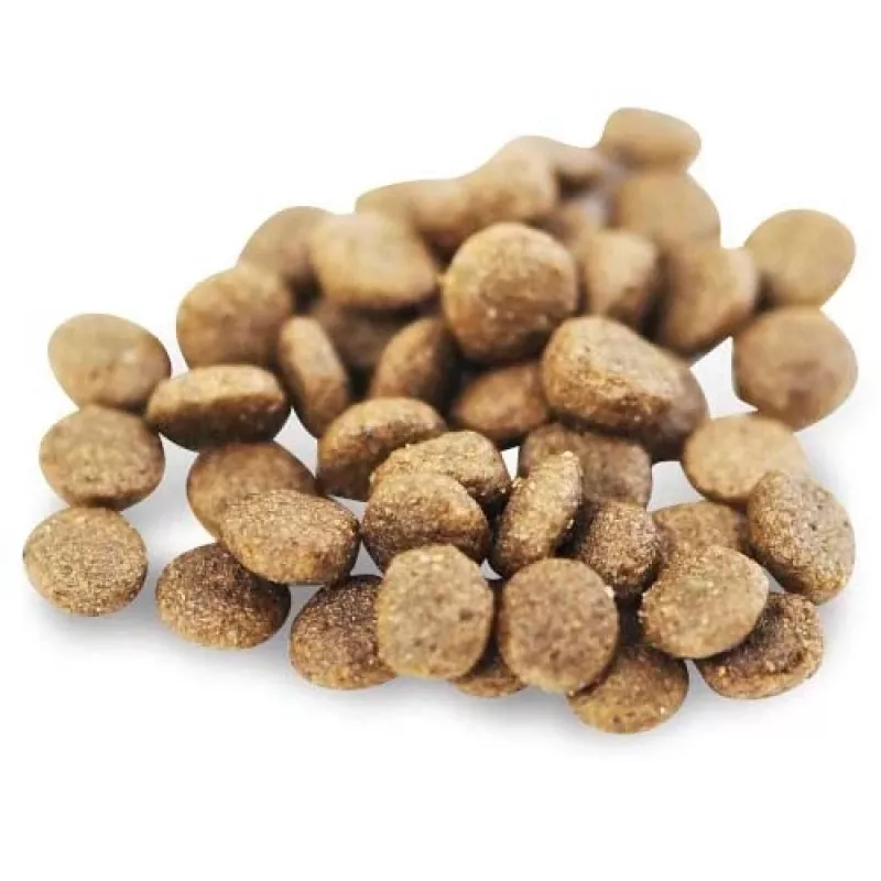 Fish4Dogs Superior Senior S Lachs Trockenfutter für Hunde kleiner Rassen, 1,5 kg