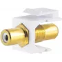 Keystone-Modul ShiverPeaks 08-10065 Flach Gold Weiß Cinch