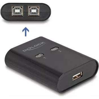DeLOCK USB 2.0 Peripherie-Umschalter
