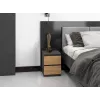 Nachttisch Topeshop M2 ANTRACYT/ARTISAN 2 Schubladen Anthrazit Eiche Holz