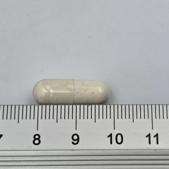 GAME DOG Flora Protect - Nahrungsergänzung für Hunde - 60 Tabletten