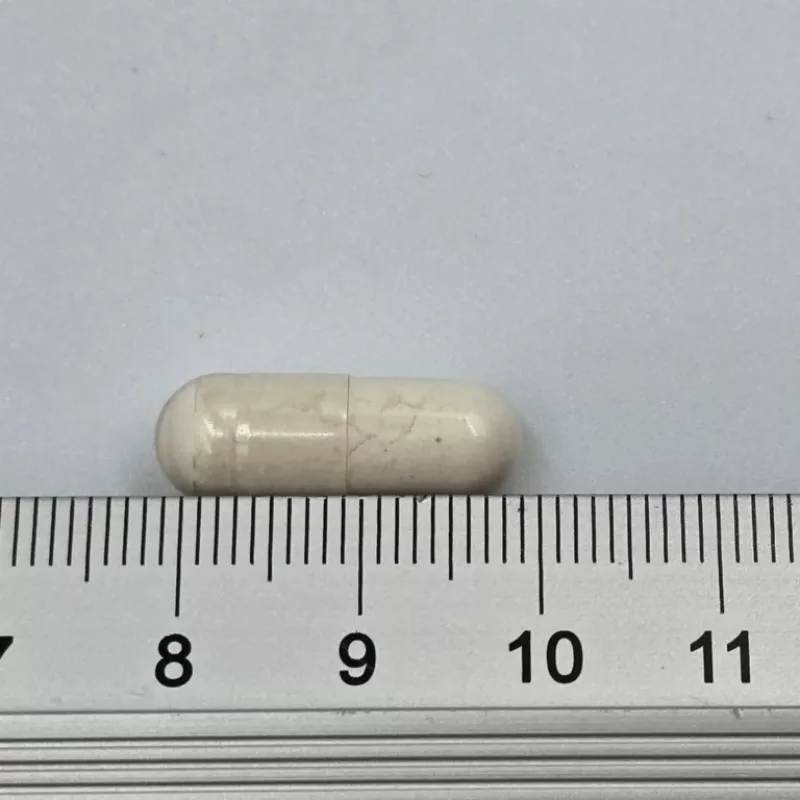 GAME DOG Flora Protect - Nahrungsergänzung für Hunde - 60 Tabletten