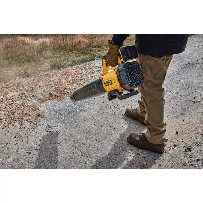 DEWALT. Laubbläser 18V XR DCMBL562N