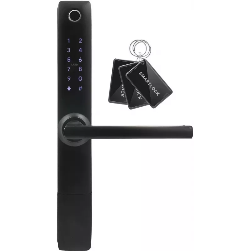 Zutrittskontrollgriff Eura ELH-20H4 Schwarz schlüsselloses Design, Modell 36790