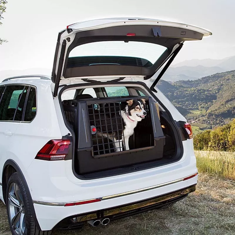 FERPLAST Atlas Car 100 Scenic, Tiertransportbox fürs Auto