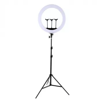 LED-Ringleuchte 45 cm mit Stativ bis 2,1 m