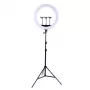 LED-Ringleuchte 45 cm mit Stativ bis 2,1 m