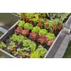 Rohrendstopfen Gardena 13215-20 geeignet für Tropfbewässerungssystem