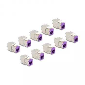 DeLOCK Keystone-Modul 88121 Flach Violett RJ-45 10 Stk.
